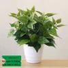 Potted Artificial Pothos Leaves & Flowers – Indoor/Outdoor Decorative Floor-Standing Bonsai.