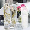 6Pcs Clear Glass Cylinder Vase Set for Hydroponic Flowers Floating Candles Home Decor Vases Centerpieces Modern Minimalist