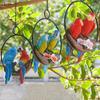Iron Circle Double Parrot Pendant Cute Animal Sculpture Figurine Crafts Bird Statue  Lawn