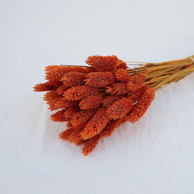 Natural Dried Statice Flower Bouquet - Everlasting Decoration for Vase & DIY Arrangements