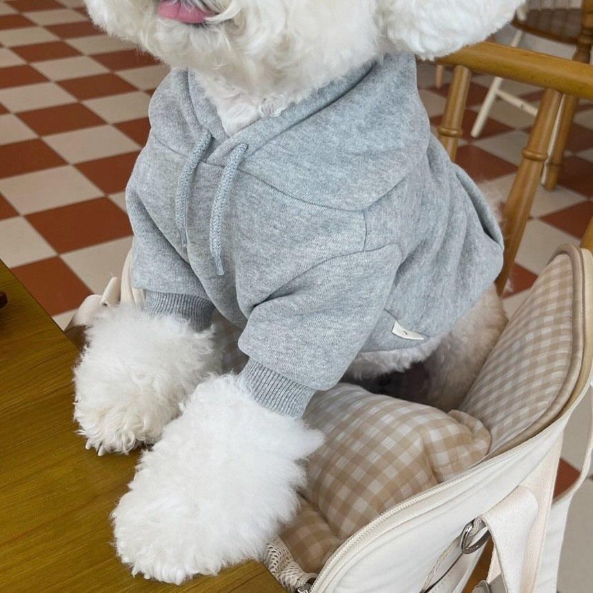 Brief Hoodie Haustierkleidung Hunde Mode Baumwolle Hundekleidung Kostüm Klein Französische Bulldogge Druck Frühling Herbst Grau Junge Maskottchen