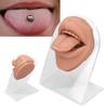 Modelo de lengua humana, silicona suave, soporte acrílico realista, modelo de boca para exhibición de joyería