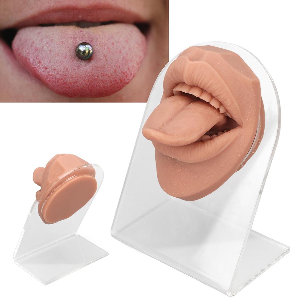 Modelo de lengua humana, silicona suave, soporte acrílico realista, modelo de boca para exhibición de joyería