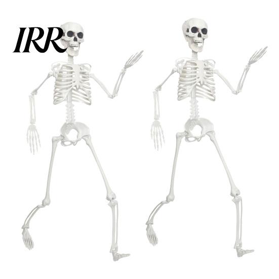 Reusable Halloween Decoration 3ft Life Size Skeleton, Full Body Posable Plastic Skeleton Prop, Realistic Model Human Bones for Yard Patio Lawn Garden