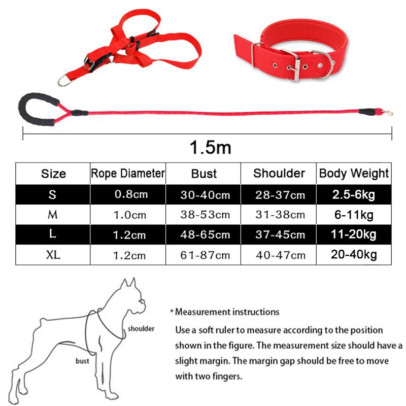 Lightweight Premium Rope Will Not Hurt Your Arm from Your Canine Buddy Pulling Too Hard.