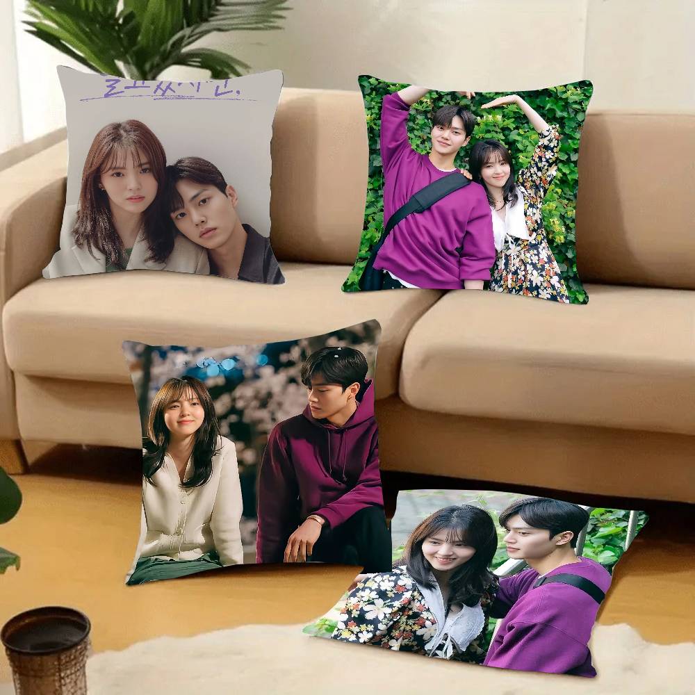 TV Series N-Nevertheless Pillow Case Home Decor Throw For Sofa Bed Car Room Decor Gift Idea