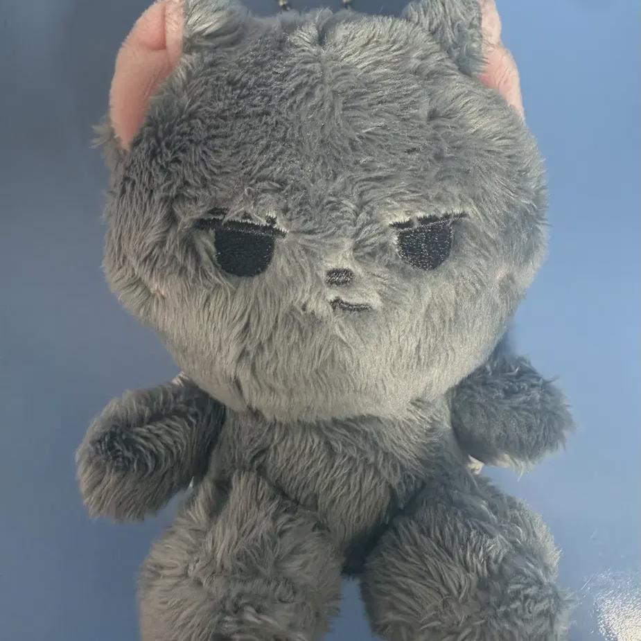 

Seventeen Wonwoo Doll Abalone