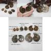 Elegant Pair Natural Ammonite Fossil Conch Specimen For Healing And Home Decor