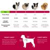 No Pull Nylon Dog Harness Mesh Padded Pet Harnesses Reflective Dog Walking Training Vest Breathable for Small Medium Large Dogs