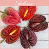 Andraeanum Linden Anthurium Mini Flower Diy Home Decoration Event Props