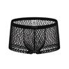 Men Summer Thin Underwear Low-rise Sexy Transparent Lace Shorts Panties Breathable Lightweight Elastic Comfortable Underwear