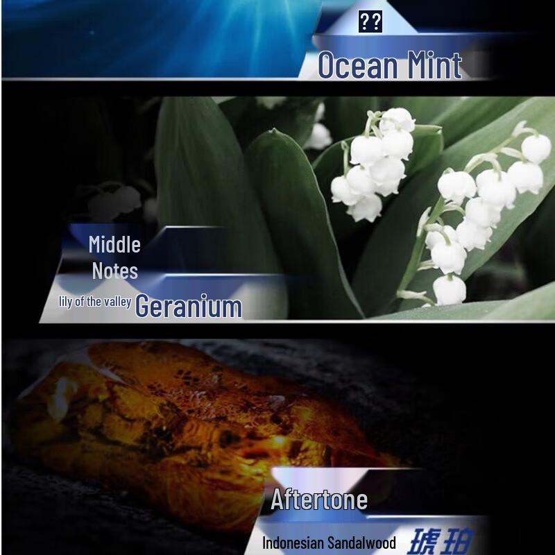 Clear Men Anti-Dandruff Cooling Shampoo Set