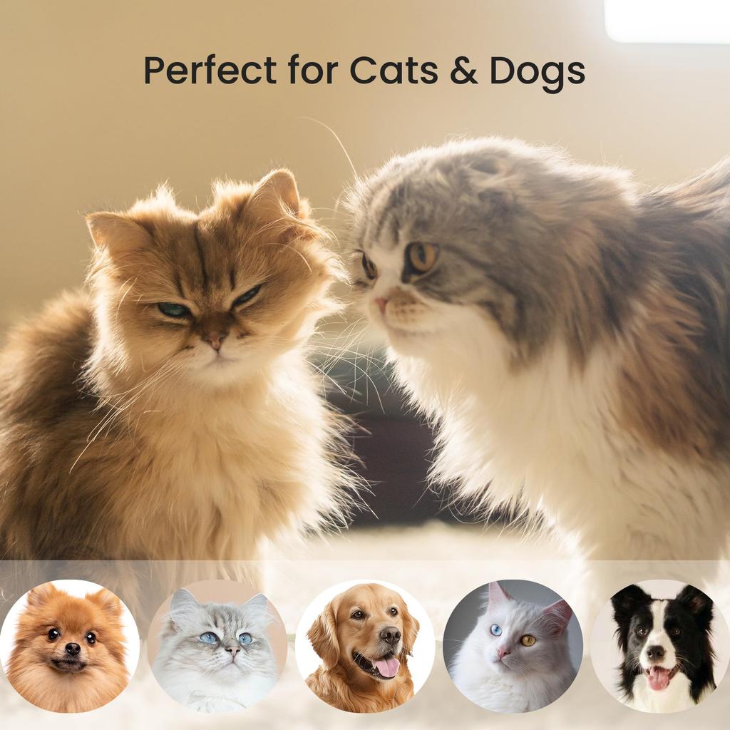 Dancemoon Kartáč pro kočky a psy na línání a podsadu Nástroj pro péči o domácí mazlíčky pro středně až dlouhosrsté Bezpečný pro kůži a lehký PawRake, Odstranění, Domácí mazlíčci,