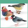 Animal Model Desktop Decor With Plastic Material For Educational Display And Bird Enthusiasts