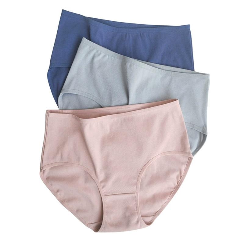 Women's Plus Size Extended Crotch Briefs High Waist Comfortable Stretch Panties
