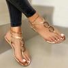 Fashion Hot Sale Summer Sandals Women Fashion Casual Beach Outdoor Flip Flop Sandals Metal Decoration Ladies Flat Shoes Plus Size