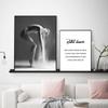 Modern Art Ballet Dancer Girl Nordic Posters And Prints Elegant Lady Wall Art Canvas Painting Picture For Living Room Home Decor