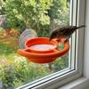 Creative Bird Feeding Station Suction Cup Bird Water Drinker Hummingbird Feeder  Various Pet Birds