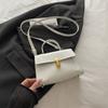 Niche Design Crossbody Bag For Women 20256 Autumn New Fashion Simple Stylish Underarm Leopard Print Vintage Single Shoulder Bag