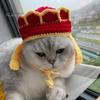 Chihuahua Knit Beanie Knitted Pet Hat Handmade Crochet Frog God of Wealth Costume Dog Cap Accessory Winter Warm for Small Cats Dogs Animal Headgear