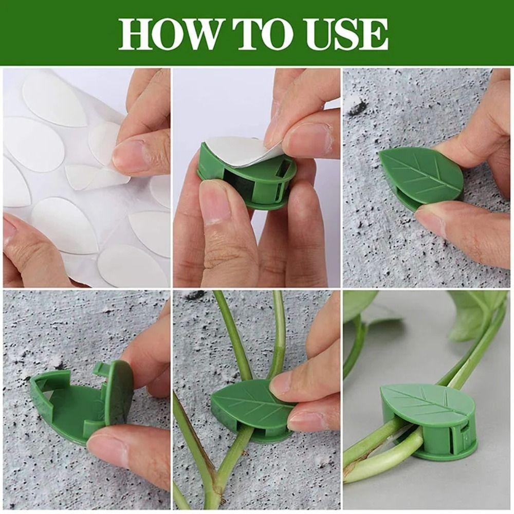 10Pcs Invisible Plant Plant Vine Traction Holder Acrylic Sticker Grafting Clip  Garden