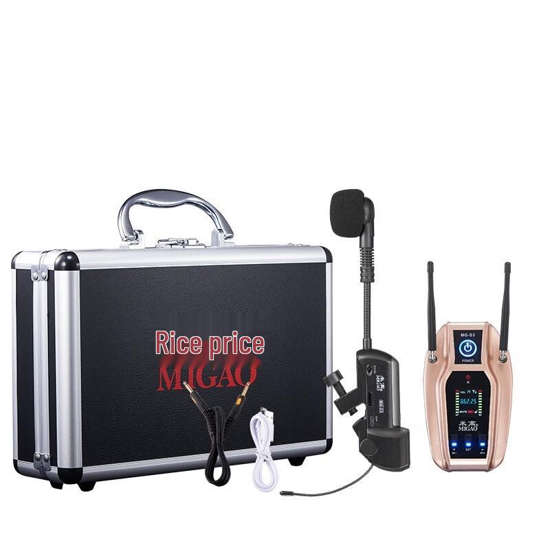 Migaos MG-T3 Outdoor Instrument Speaker System