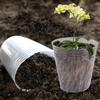 Reusable Orchid 10PCS  Transparency  Nursery Pot Plants Grow Nutrition Cups for Garden Flower Transplanting Propagation  Contain