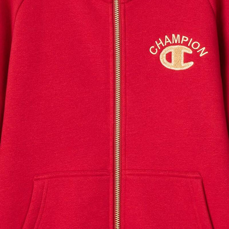 Champion Kids Fleece Lined Hooded Logo Sweatshirt