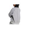 Adidas Originals SS25 Casual Comfortable Soft Skin-Friendly Sweatshirt Women Sweatshirt Ice-Grey JD2588