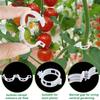 40Pcs Tomato Hooks with String Tomato Support Hooks Tomato Holder Hooks Plant Support Clips Prevent Tomatoes Pinching