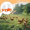 Poultry Automatic Feeding Bucket Chicken Feeder Barrel Water Bucket Geese Quail Drinking Farm Chicken Coop Water Supplies