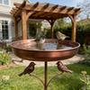 Standing Bowl Iron Bird Bath Feeder 5 Claw Ground Plug Bird Water Drinker  Lawn Backyard