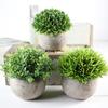 Simulate Potted Plant Cute Microlandschaft Home Office Hotel Decoration