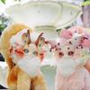 Hot Rabbit Dragon Fantasy Creature Cat Magic Academy Series Blind Box Cute Plush Doll Trendy Toy Girls Christmas Gifts V2 Cuddly Stuffed Fluffy