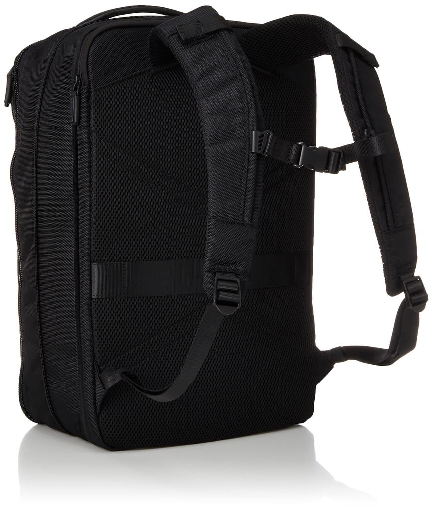 Ace Gene Business Backpack, Dual Pose, Fits 15.6-inch Laptops, A4 Size, Expandable, 3-Compartment Design, Chest Belt Included, 31L, No. 35113, Men's,