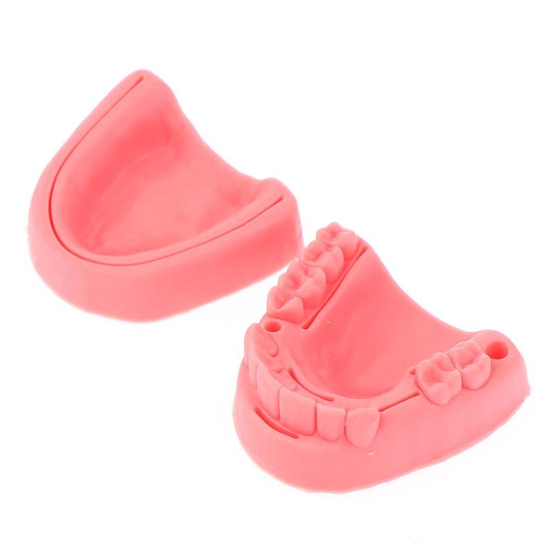 Teeth Gum Combination Model Silicone Material Training Suture Module