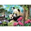 [Educa] 1000 Piece Jigsaw Puzzle - Panda's Morning Art ED17995