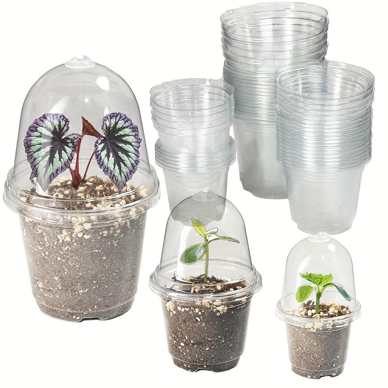 15/30pcs Transparent Round Plastic Seedling Pots with Dome Lids 8.89/10.16/12.7 Cm Durable Lightweight for Indoor/Outdoor Garden