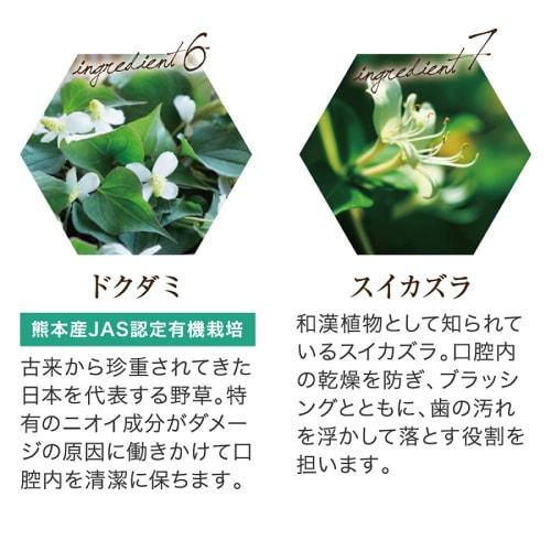 Yazuya Group Kyushu Nature Center Dental Green Propolis 100g (Approx. 1 month supply)