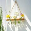 Ins Hydroponic Test Tube Vase Series Wall Mounted Wooden Frame Hydroponics Decorative Container Home Decoration Party Gift Vase