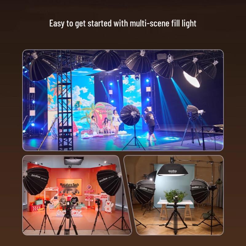 Godox LE300Bi Bi-Color LED Video Light