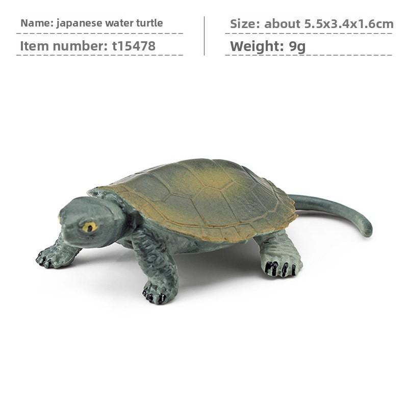 Реалистичный ассортимент ПВХ моделей водных черепах для любителей и коллекционеров Style C