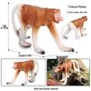 Children's Cognitive Simulation Primate Model: Gorilla & Golden Snub-nosed Monkey Wildlife Toy