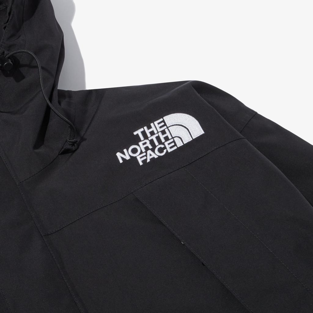 The North Face Mountain Down Jackets & Coats Men's Black NJ2PP50A