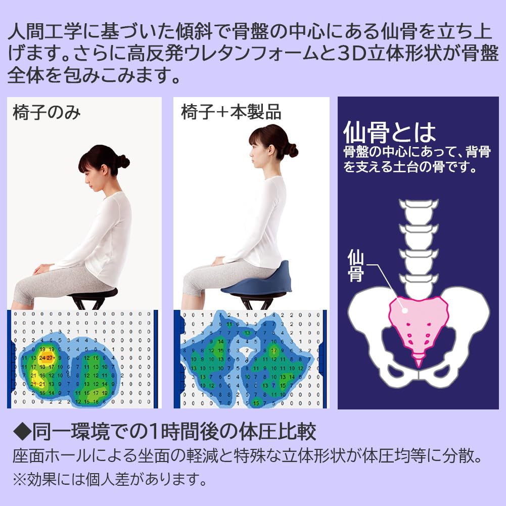 Alphax Posture Support Cushion, Seat Cushion, Chair, Sacrum Cushion, Senritsu, Navy