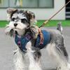 Denim Hundegeschirr für kleine und mittlere Hunde Verstellbares Retro-Hundegeschirr und Leinen-Set Schnauzer Chihuahua Corgi Haustier-Westengeschirr
