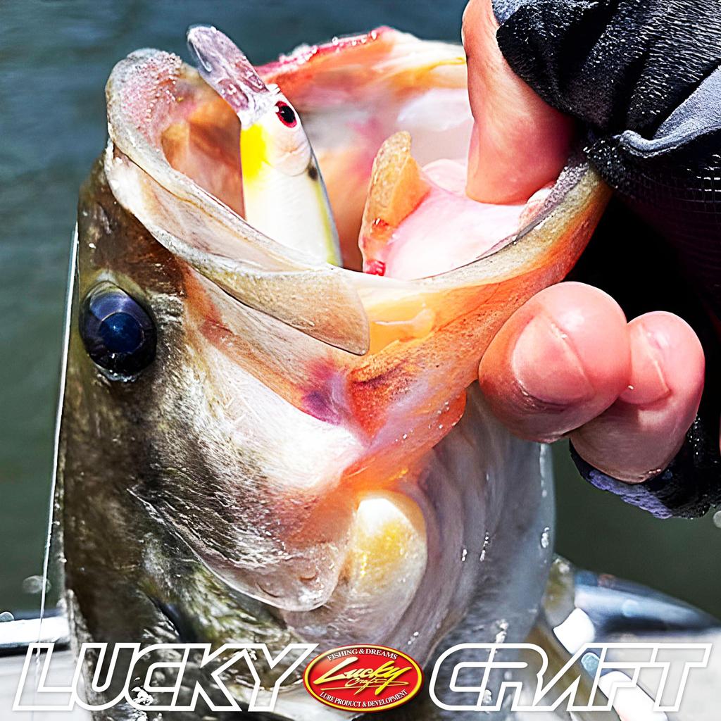 Lucky Craft Pointer 78 Freeze 78 Bass Rod Aurora (Be Suspending) (052 Black)