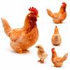 PP Cotton Filled Animal Body Pillow 30cm Size Animal Cushion Doll Toys Chicken Pillow  Bedroom Use