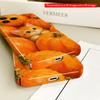 2DFlat Pumpkin Patch Kitten All inclusive film hard iPhone case, compatible with iPhone 18 Pro Max 17 16 15 14 13 12 11