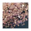 Nail Art Manicure Sequins Flower Mermaid PVC Loose Glitter Paillette for Wedding Confetti Ornament Crafts Accessories